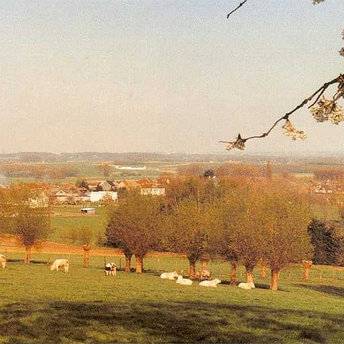 De heide van Kester