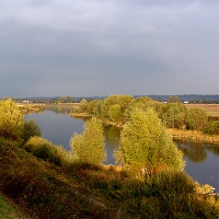 De Maas